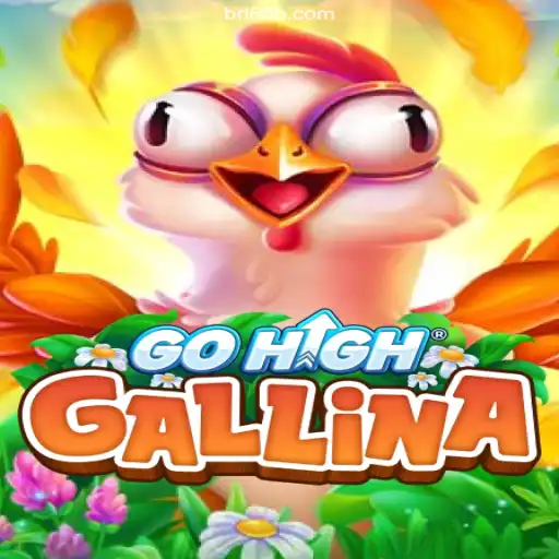 Exploring GoHighGallina: The Game Revolutionizing Online Betting